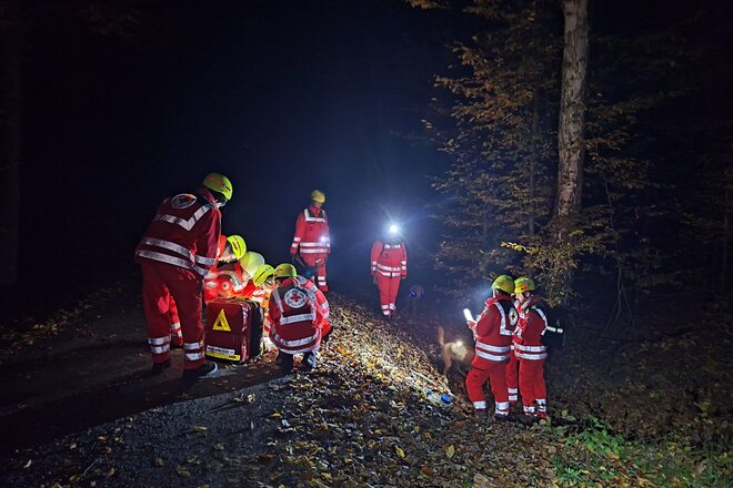 Einsatzkräfte orientieren sich bei Nacht im Wald